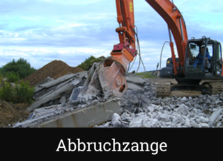 Abbruchzange